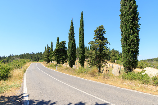 Road in a typical tuscan landscape in Italy