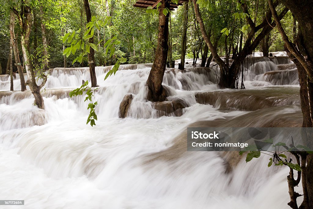 Tad Sae Cascade - Photo de Arbre libre de droits