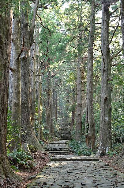 istock World heritage   Kumano old road 167172693