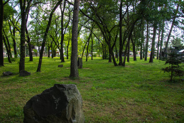 istock Green smooth lawn and trees in the park in summer 1671755382