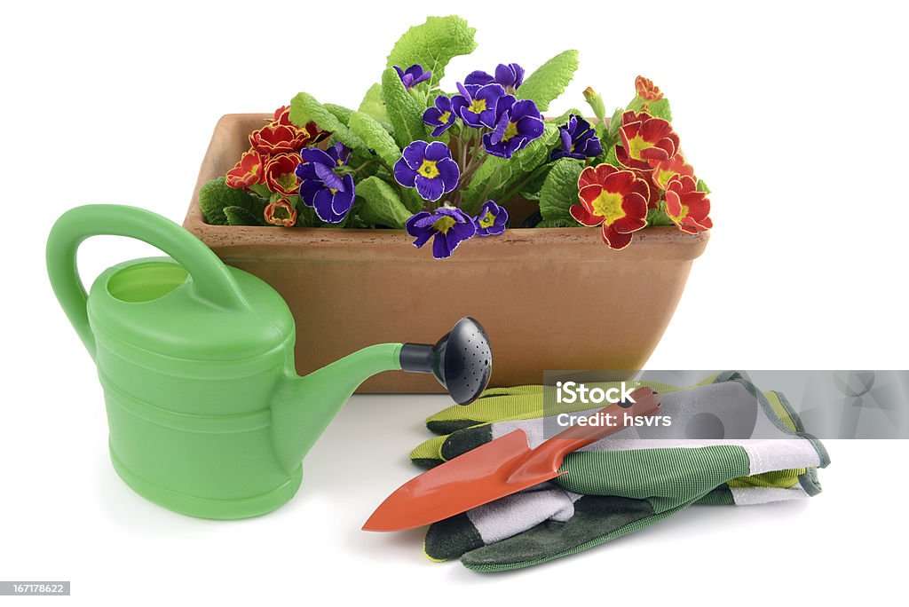 Flowerpot primroses et outils de jardinage avec - Photo de Matériel de jardin libre de droits