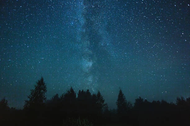 Night starry sky.