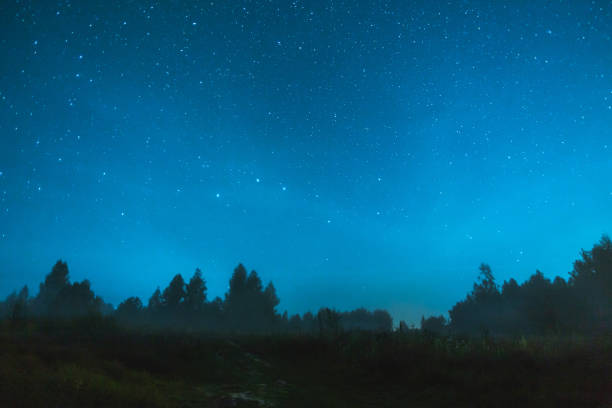 Night starry sky.