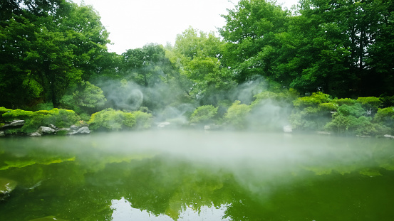 Trees in fog over water