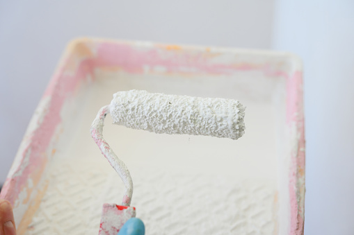 Paint roller on the background of a tray with white paint.