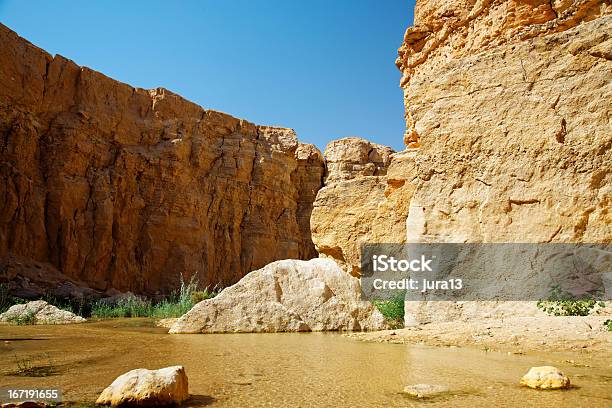 Mountain Oasi Tamerza - Fotografie stock e altre immagini di Acqua - Acqua, Africa, Ambientazione esterna