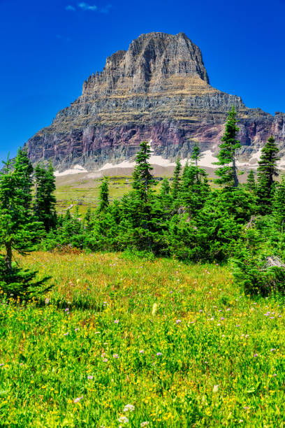 Near Logan's Pass  in Glacier National Park