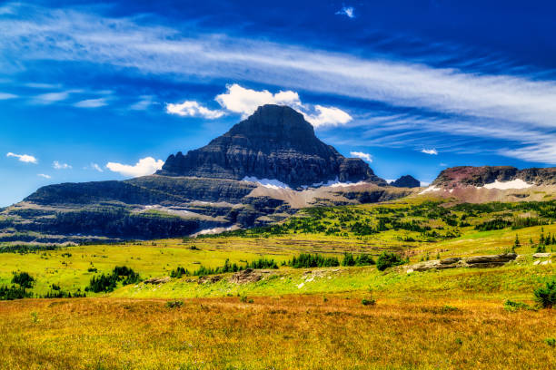 Near Logan's Pass  in Glacier National Park