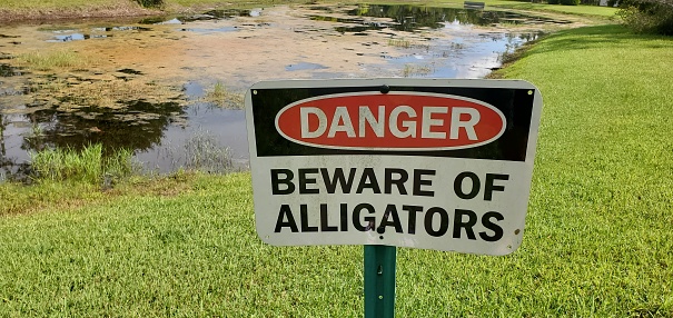 Danger Beware of Alligators Sign in Florida