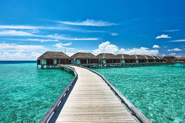 istock Beautiful beach with water bungalows 167195327