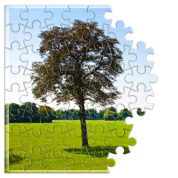 istock Lone tree in a green meadow - environmental conservation concept in jigsaw puzzle shape 1671953620