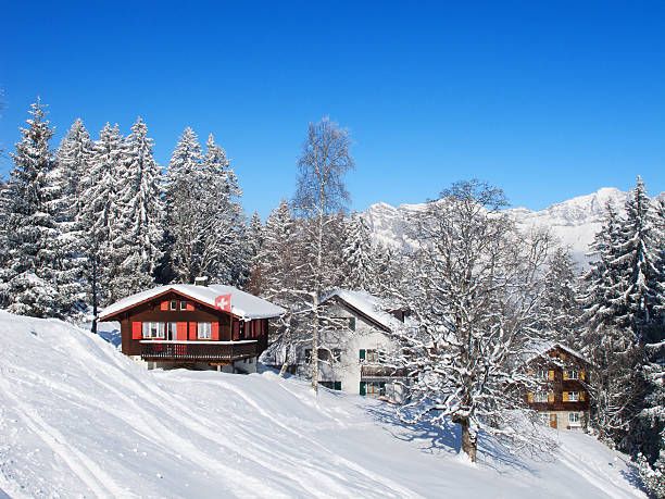 istock Winter holiday house 167196885