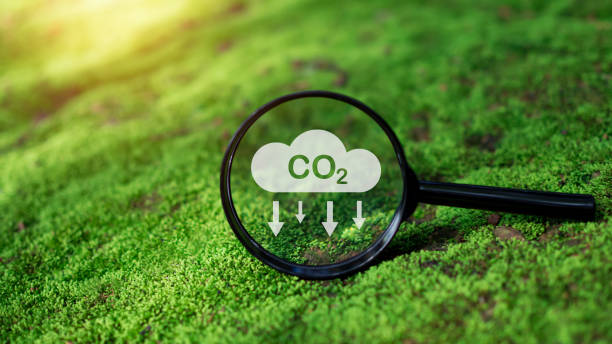 istock CO2 emission reduction concept, clean and friendly environment without carbon dioxide emissions. Planting trees to reduce CO2 emissions, environmental protection concept. 1671986669