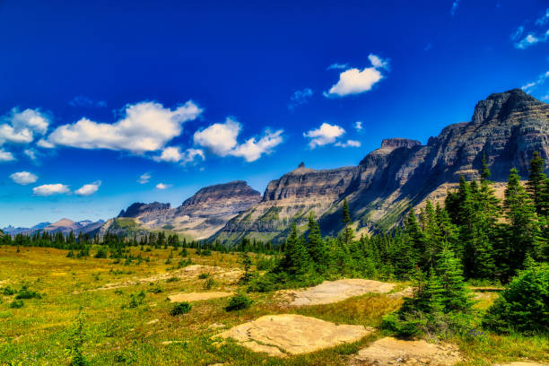 istock Logan's Pass Glacier National Park in Montana 1671987462