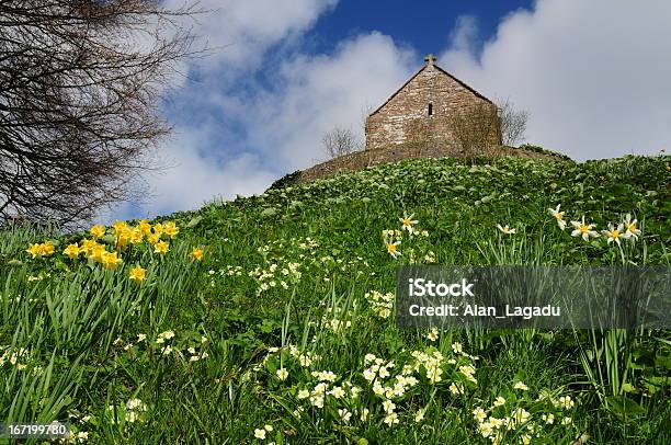 La Hougue Bie Jersey Foto de stock y más banco de imágenes de Narciso - Familia del lirio - Narciso - Familia del lirio, Primavera - Flor, Aire libre