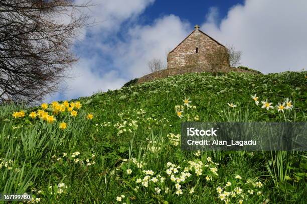 Foto de La Hougue Bie Jersey e mais fotos de stock de Narciso - Família do Lírio - Narciso - Família do Lírio, Primavera - Prímula, Arquitetura