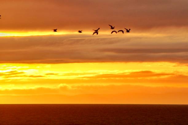 istock Sun down over the Irish Sea with Saharan dust in the Atmosphere 1672002161