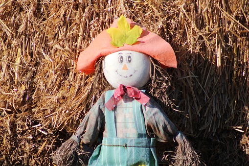 An autumn scene with bales of hay, scarecrows, pumpkins, and gourds.