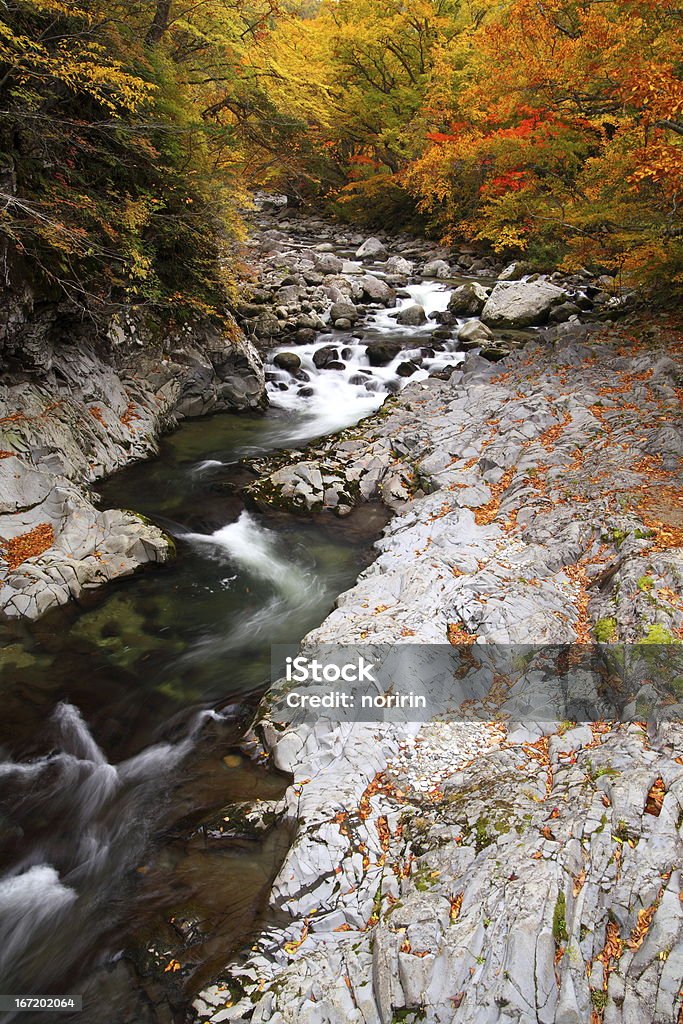 Valle de colores de otoño - Foto de stock de Agua libre de derechos