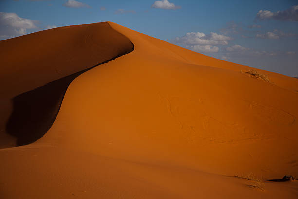 Deserto - foto de acervo