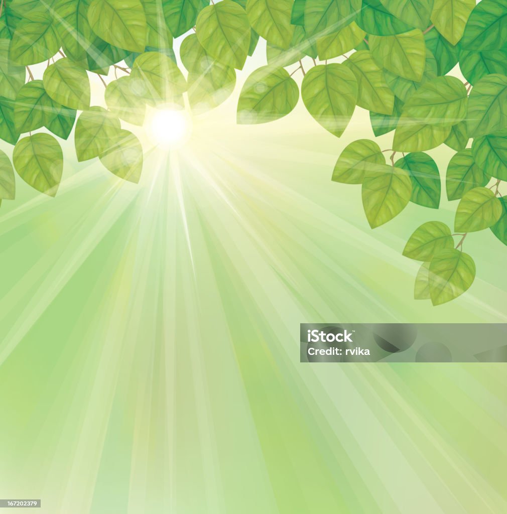 Vectơ Của Lá Xanh Trên Nền Trời Đầy Nắng Hình minh họa Sẵn có ...