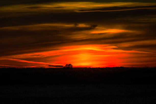 Beautiful sunset over the steppe