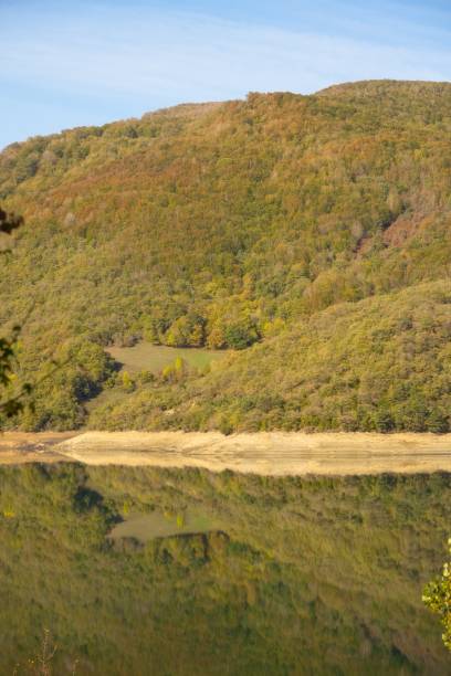 istock Landscape Forest, mountains, and blue sky. With space for copy 1672041076