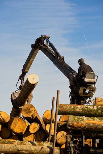 Man working outdoors in the transportation of wooden logs.
