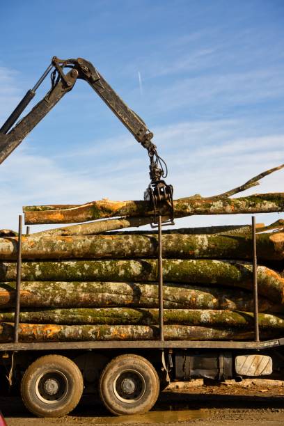 istock Wood transportation for the winter 1672043286