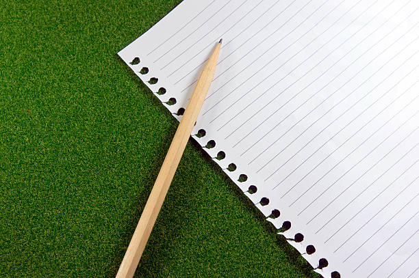istock Blank line paper and pencil on green grass 167206177