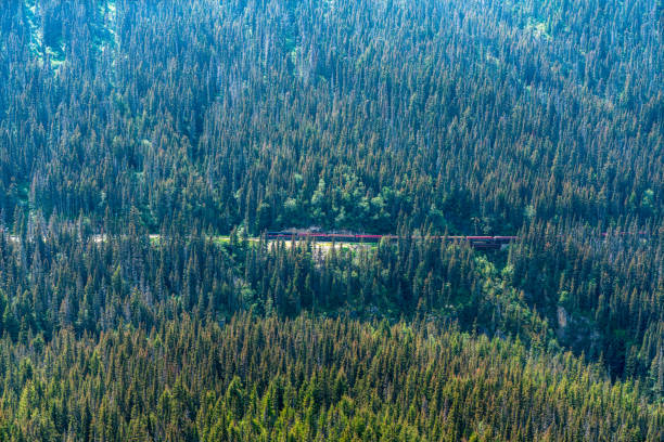 White Pass Summit excursion tour train, Alaska, USA.