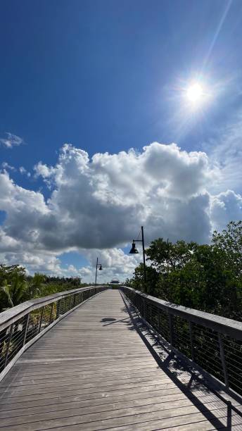 istock GOOD MORNING FROM THE SUNSHINE STATE 1672081361