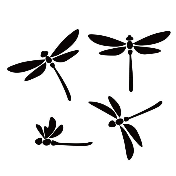 잠자리 실루엣 - dragonfly stock illustrations