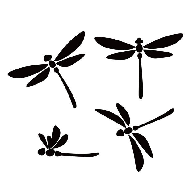 dragonfly silhouette dragonfly silhouette design. beautiful insect sign and symbol. dragonfly stock illustrations