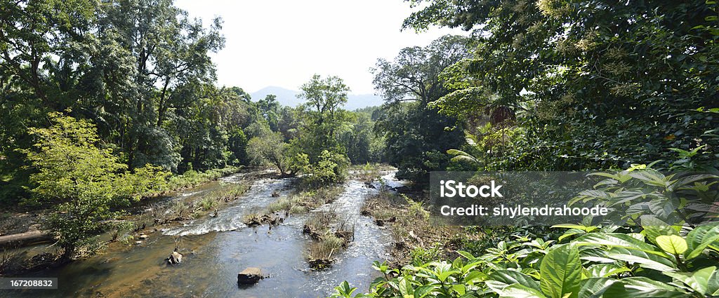 Western Ghats - Foto de stock de Western Ghats libre de derechos