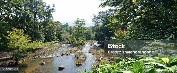 Western Ghats Foto de stock y más banco de imágenes de Western Ghats - Western Ghats, Aire libre, Animal