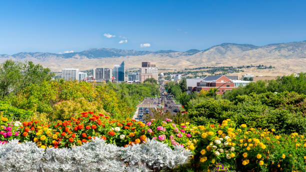 istock Boise Idaho skyline with summer flowers 1672105761