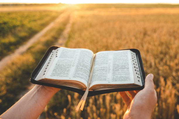 istock Open bible in hands, wheat field and road, christian concept 1672110775
