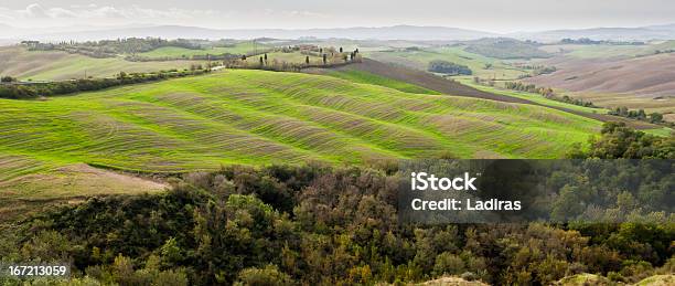 Toscana Paesaggio - Fotografie stock e altre immagini di Agricoltura - Agricoltura, Ambientazione esterna, Asciano