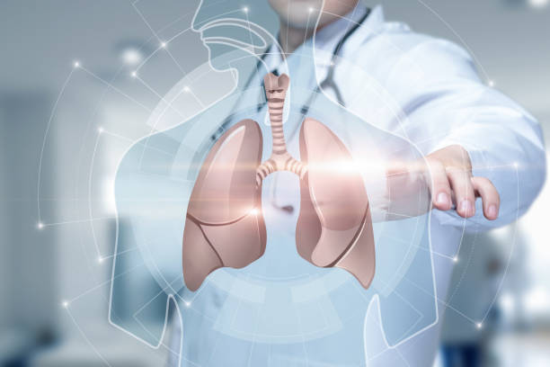 istock Doctor on a virtual screen is examining the lungs. 1672139065