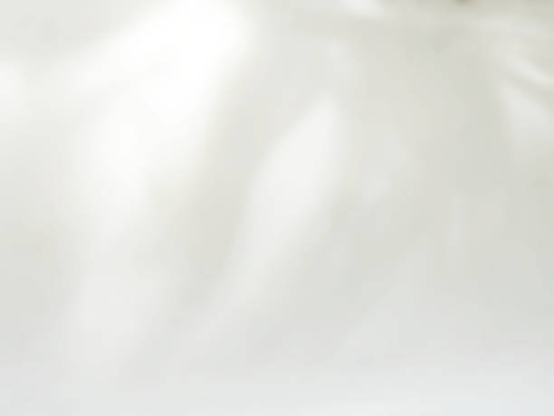 istock Abstract shadow of leaves on a white wall background 1672149654