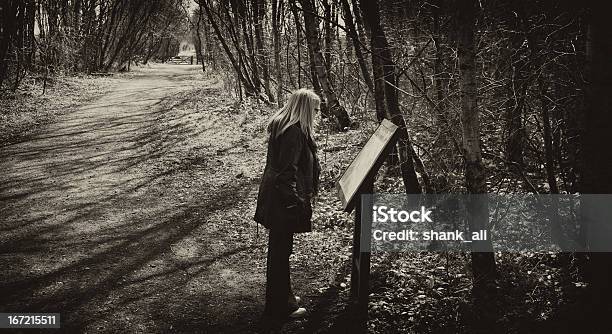 Landschaft Zu Fuß Stockfoto und mehr Bilder von Anschlagbrett - Anschlagbrett, Im Freien, Baum