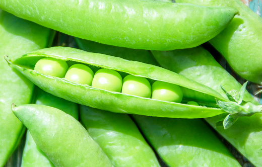 Fresh pods of green peas close-up.