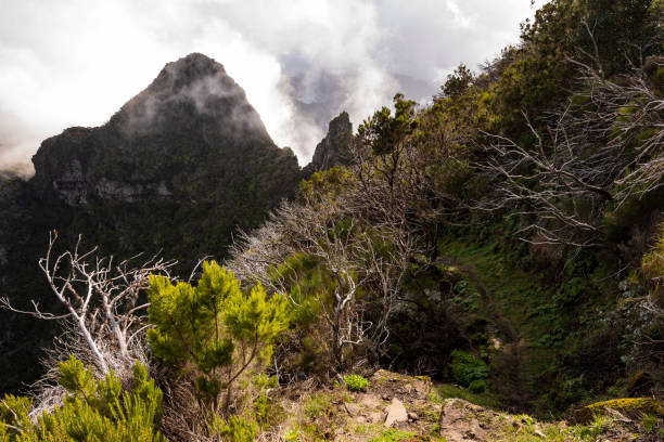 Mysterious foggy mountain landscape near \