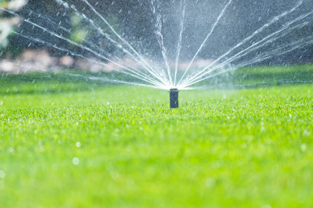 istock Irrigation system in home garden. Automatic watering lush green lawn. Selective focus 1672191639
