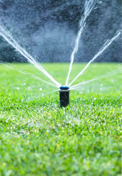 istock Irrigation system in home garden. Automatic watering lush green lawn. Selective focus 1672192183