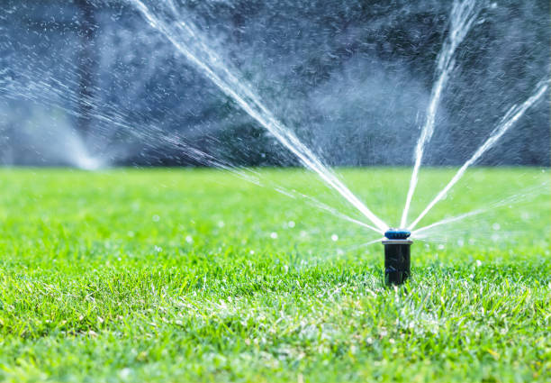 istock Irrigation system in home garden. Automatic watering lush green lawn. Selective focus 1672192733