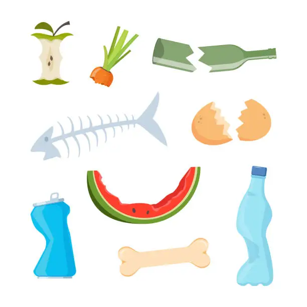Vector illustration of Organic and plastic waste, food compost collection isolated on white background. Banana and watermelon rind, fish bone and apple stump, plastic bottle. Vector illustration.