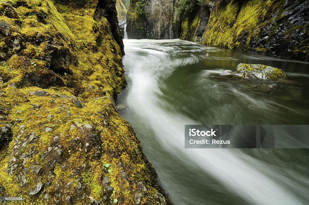 Fast mountain stream in Vancouver Island, Kanada - Lizenzfrei Bach Stock-Foto