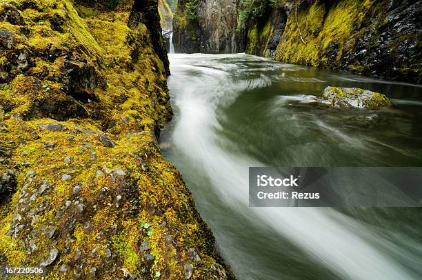 Fast Mountain Stream In Vancouver Island Kanada Stockfoto und mehr Bilder von Bach - Bach, Berg, Bewegung